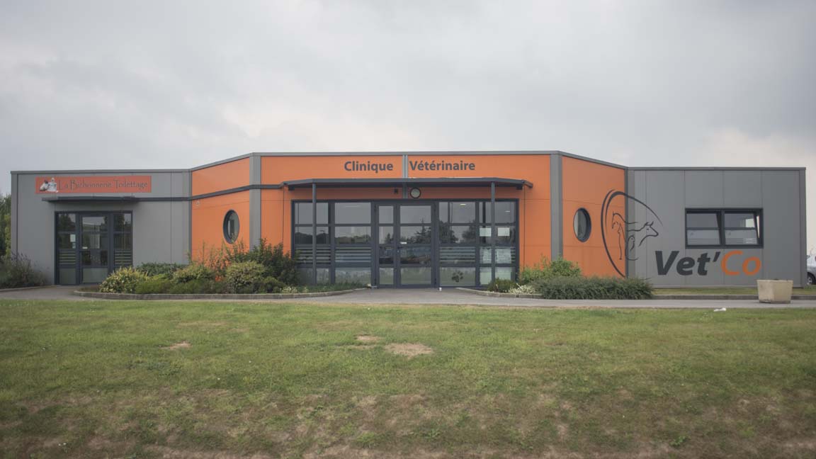 Clinique Vétérinaire Vet'Co Ste Marie des Champs Ste Marie Des Champs